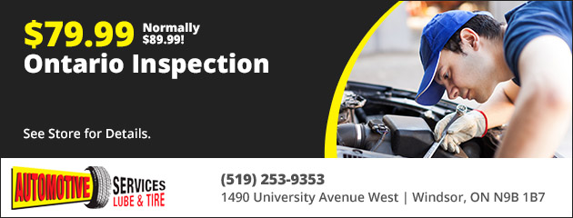 inspection